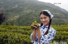 小姐姐茶香四溢图片,小姐姐演绎古典韵味